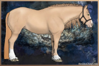 Horse Color:Gold Champagne Sabino