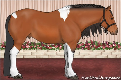 Horse Color:Bay Tobiano 