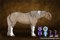 Horse Color:Gray Silver Buckskin Roan Dun Tobiano Rabicano