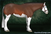 Horse Color:Brown Splash 
