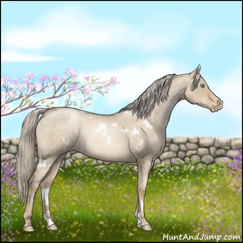 Horse Color:White Spotted Chocolate Palomino Roan Pearl Dun