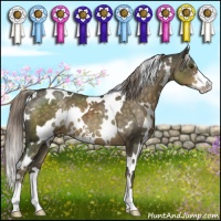 Horse Color:White Spotted Chocolate Palomino Mushroom Sabino Varnish