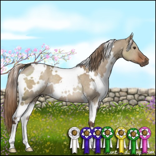 Horse Color:White Spotted Liver Red Dun Rabicano 