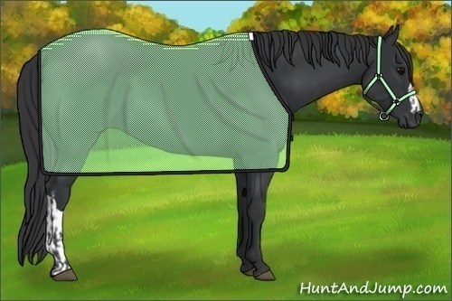 Horse Color:Black and Black