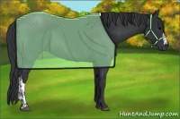 Horse Color:Black and Black