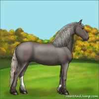 Horse Color:Silver Black 