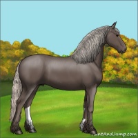 Horse Color:Silver Black 