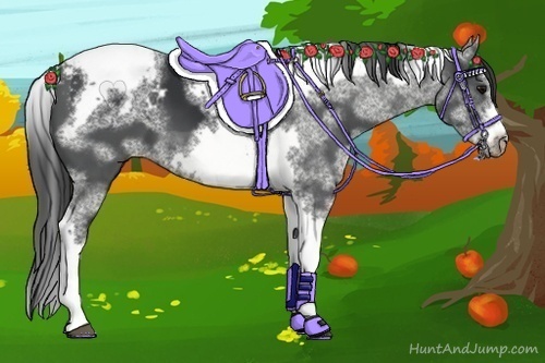 Horse Color:White Spotted Black Splash Tobiano Frame Appaloosa 