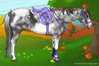 Horse Color:White Spotted Black Splash Tobiano Frame Blanket 