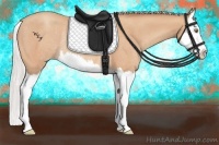 Horse Color:Silver Amber Champagne Splash Rabicano 