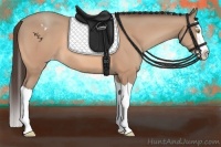 Horse Color:Amber Champagne Splash Varnish 