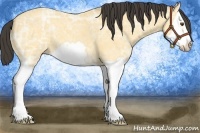Horse Color:Buckskin Ice Dun Splash Frame 