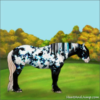 Horse Color:Chestnut Ice Pearl Sabino 