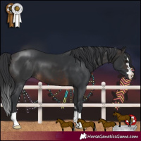 Horse Color:Brown 