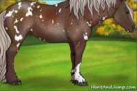 Horse Color:White Spotted Chocolate Silver Brown