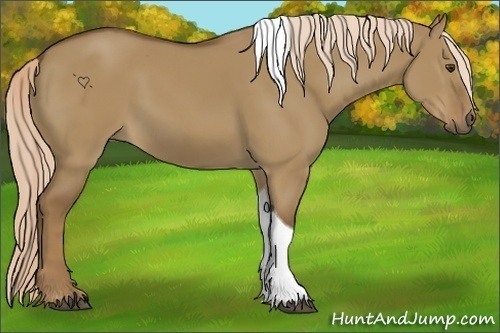 Horse Color:Chocolate Palomino Dun Tobiano 