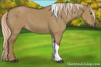 Horse Color:Chocolate Palomino Dun Tobiano