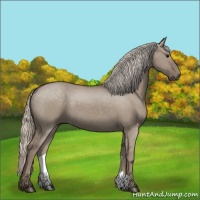 Horse Color:Silver Grullo 