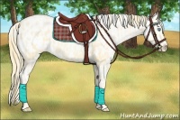 Horse Color:Buckskin Roan Pearl Blanket  and Buckskin Pearl Blanket 