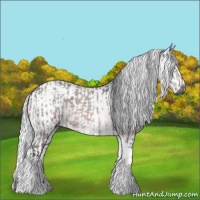 Horse Color:Platinum Bay Roan Tobiano  and Platinum Palomino Roan Tobiano 