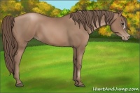 Horse Color:Black Pearl