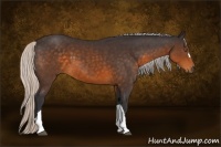 Horse Color:Silver Buckskin 
