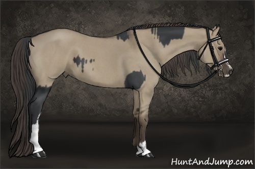 Horse Color:Black Sabino  and Smoky Grullo Roan Sabino 