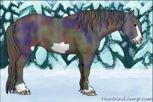 Horse Color:Nacre Black Frame 