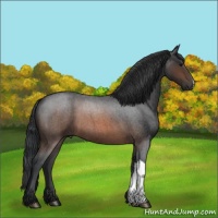 Horse Color:Brown Roan 