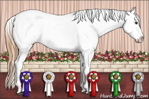 Horse Color:Chestnut Blanket 