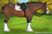 Horse Color:Brown Splash