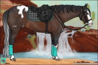 Horse Color:Brown Splash Varnish 