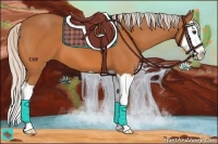 Horse Color:Silver Buckskin Splash 