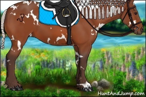 Horse Color:White Spotted Silver Bay 