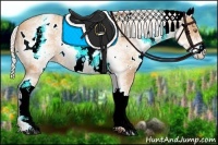 Horse Color:White Spotted Silver Amber Champagne 