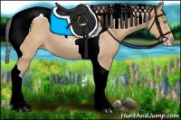 Horse Color:Amber Champagne Tobiano