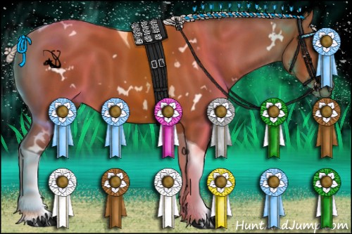 Horse Color:White Spotted Silver Bay Tobiano 