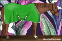 Horse Color:Chestnut Appaloosa