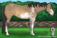 Horse Color:Buckskin Dun Sabino Rabicano