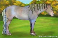 Horse Color:Painted Sable Champagne 