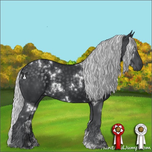 Horse Color:White Spotted Silver Black Chinchilla 