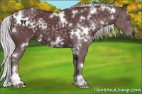 Horse Color:White Spotted Chocolate Silver Black Chinchilla