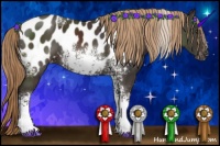 Horse Color:White Spotted Liver Chestnut Blanket 