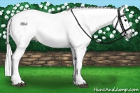 Horse Color:Gray Brown Roan Dun 