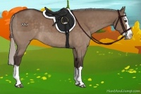 Horse Color:Silver Brown Dun Sabino Splash Rabicano