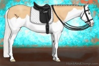 Horse Color:Silver Amber Champagne Splash 
