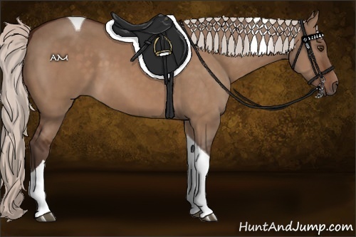 Horse Color:Silver Brown Dun Tobiano 