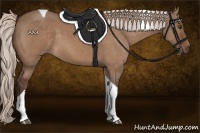 Horse Color:Silver Brown Dun Tobiano