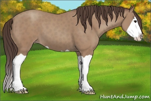Horse Color:Classic Champagne Splash 