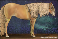 Horse Color:Gray Gold Champagne 